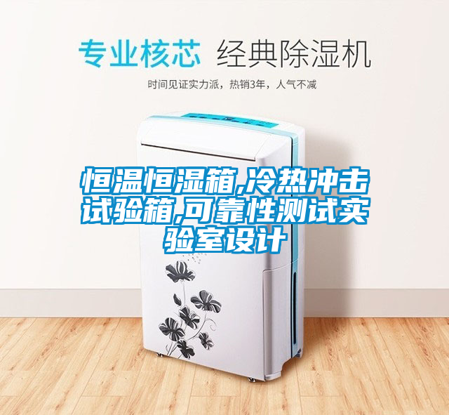 欧美黄色性爱视频网站 恒温恒湿箱,冷热冲击试验箱,可靠性测试实验室设计