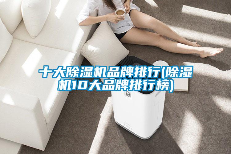 欧美黄色电影在线播放 十大除湿机品牌排行(除湿机10大品牌排行榜)