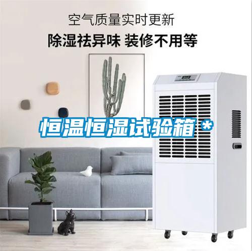 欧美黄色电影在线播放 恒温恒湿试验箱＊