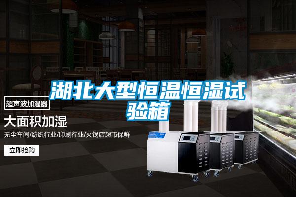 欧美黄色性爱视频网站 湖北大型恒温恒湿试验箱