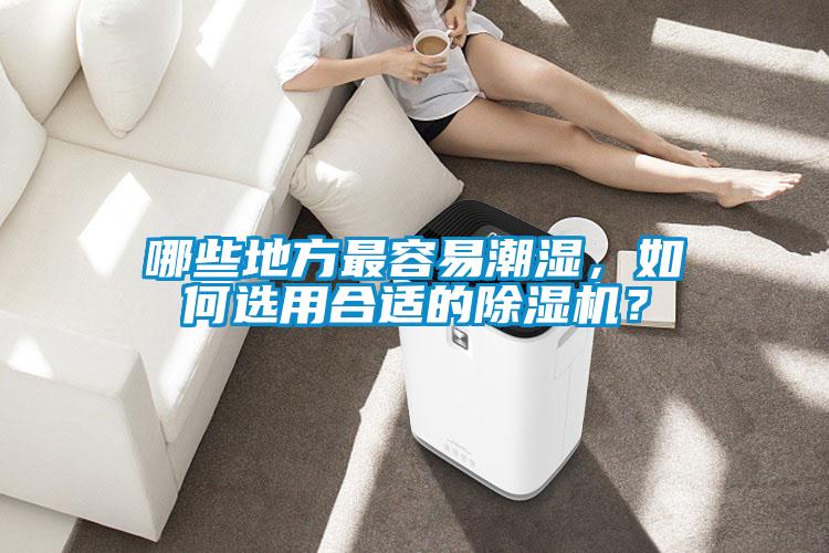 欧美黄色性爱视频网站 哪些地方最容易潮湿，如何选用合适的除湿机？