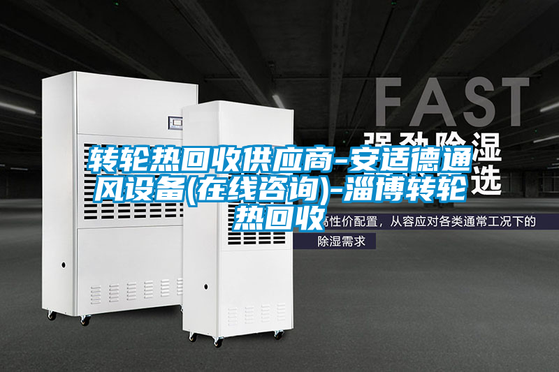 欧美黄色电影在线播放 转轮热回收供应商-安适德通风设备(在线咨询)-淄博转轮热回收