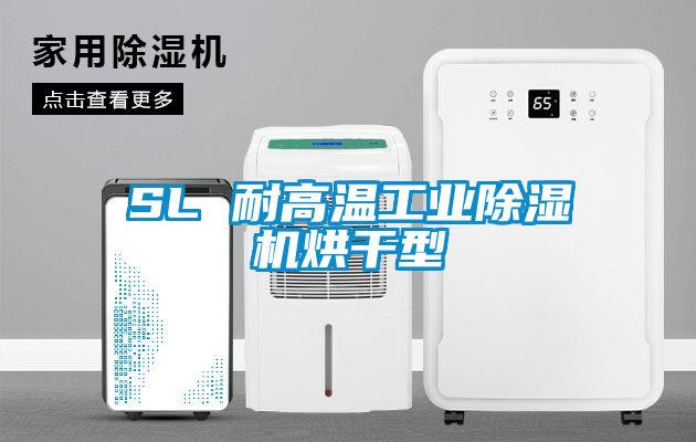 欧美黄色电影在线播放 SL 耐高温工业除湿机烘干型