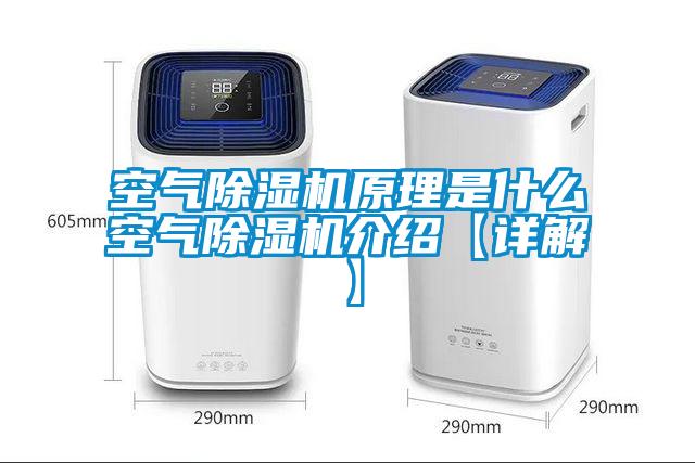 欧美黄色性爱视频网站 空气除湿机原理是什么空气除湿机介绍【详解】