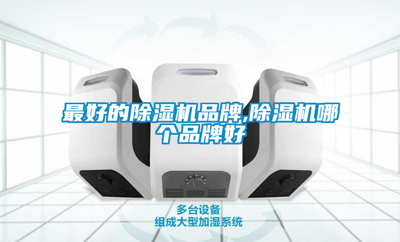 欧美黄色电影在线播放 最好的除湿机品牌,除湿机哪个品牌好