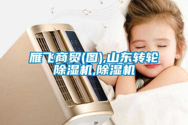 欧美黄色性爱视频网站 雁飞商贸(图),山东转轮除湿机,除湿机