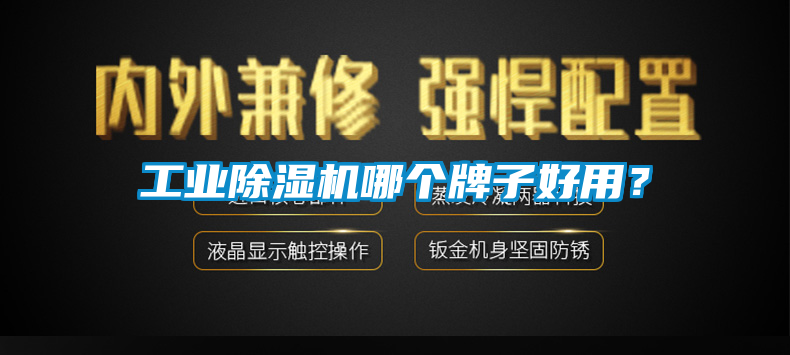 欧美黄色性爱视频网站 工业除湿机哪个牌子好用？