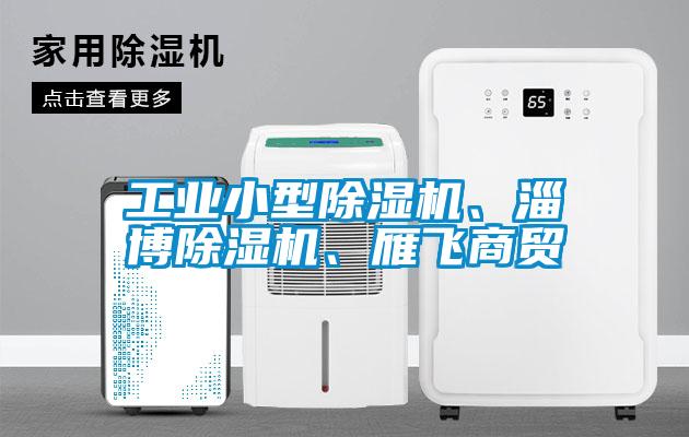 欧美成色手机在线观看 工业小型除湿机、淄博除湿机、雁飞商贸
