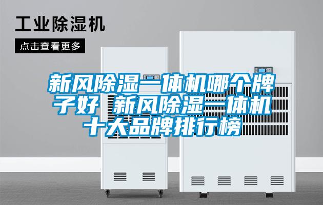 欧美黄色电影在线播放 新风除湿一体机哪个牌子好 新风除湿一体机十大品牌排行榜