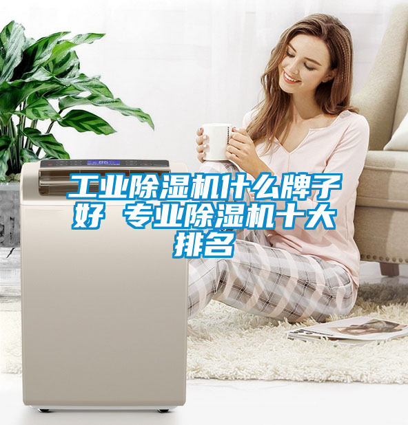 欧美黄色电影在线播放 工业除湿机什么牌子好 专业除湿机十大排名