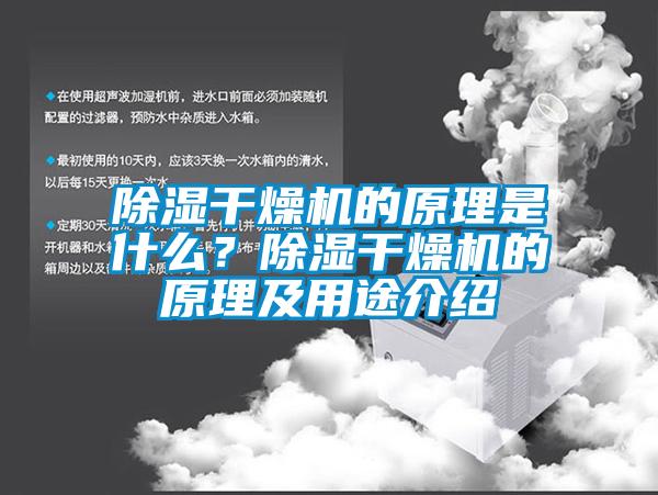 欧美黄色电影在线播放 除湿干燥机的原理是什么？除湿干燥机的原理及用途介绍