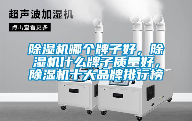 欧美成色手机在线观看 除湿机哪个牌子好，除湿机什么牌子质量好，除湿机十大品牌排行榜
