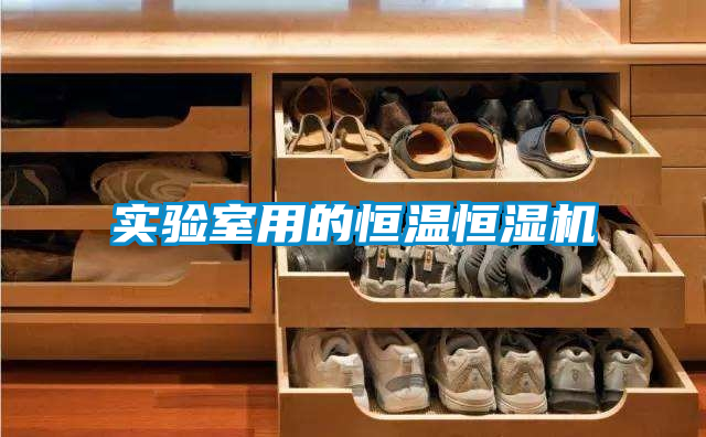 欧美成色手机在线观看 实验室用的恒温恒湿机