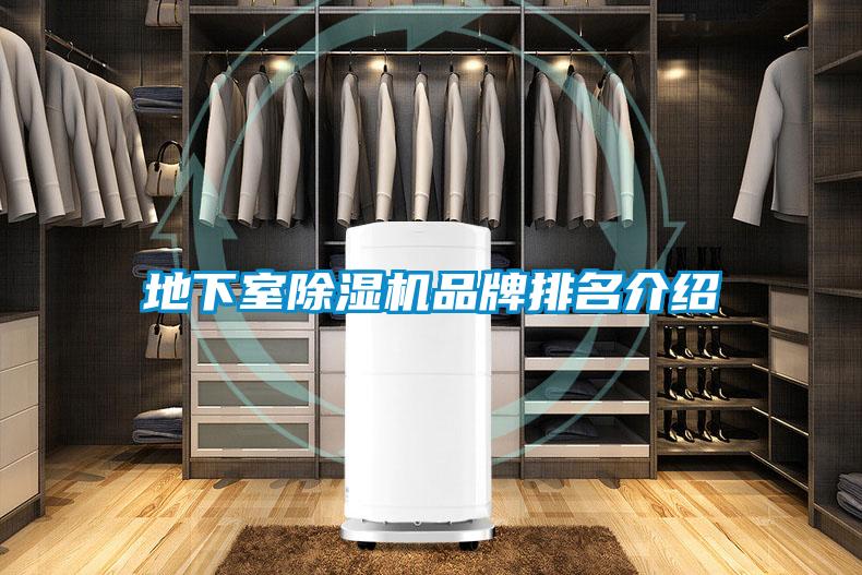 欧美黄色性爱视频网站 地下室除湿机品牌排名介绍