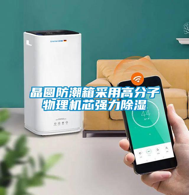 欧美成色手机在线观看 晶圆防潮箱采用高分子物理机芯强力除湿