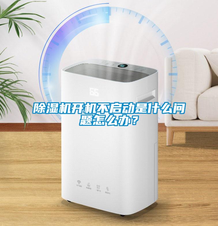 欧美成色手机在线观看 除湿机开机不启动是什么问题怎么办？