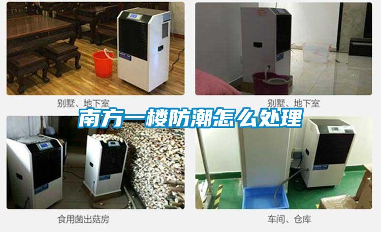 欧美黄色性爱视频网站 南方一楼防潮怎么处理