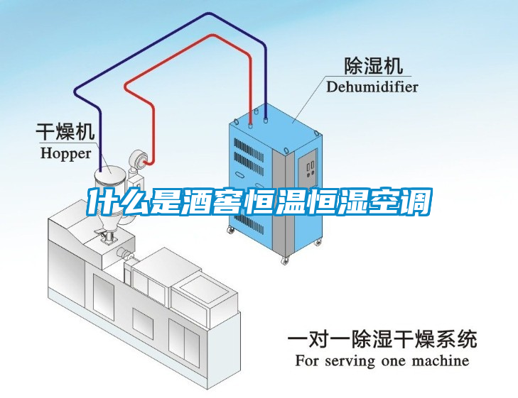 欧美黄色电影在线播放 什么是酒窖恒温恒湿空调