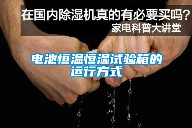 欧美黄色性爱视频网站 电池恒温恒湿试验箱的运行方式