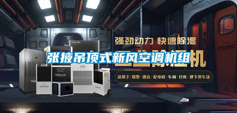 欧美黄色性爱视频网站 张掖吊顶式新风空调机组