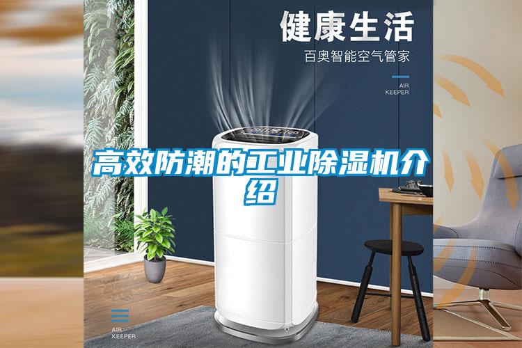 欧美黄色电影在线播放 高效防潮的工业除湿机介绍