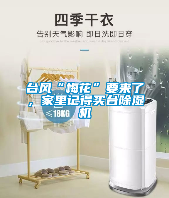 欧美黄色电影在线播放 台风“梅花”要来了，家里记得买台除湿机