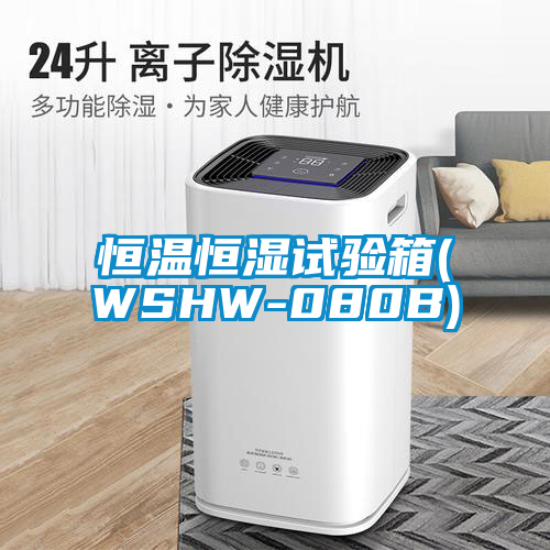 欧美黄色电影在线播放 恒温恒湿试验箱(WSHW-080B)