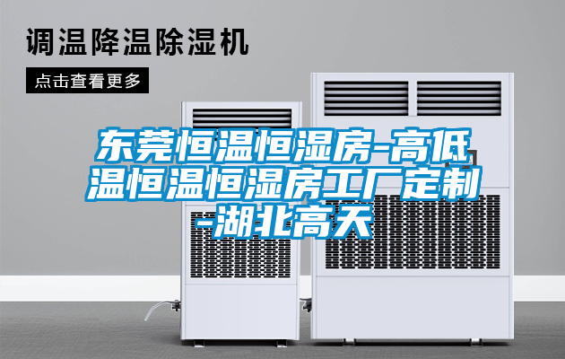 欧美黄色性爱视频网站 东莞恒温恒湿房-高低温恒温恒湿房工厂定制-湖北高天