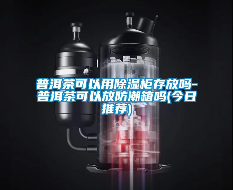 欧美黄色电影在线播放 普洱茶可以用除湿柜存放吗-普洱茶可以放防潮箱吗(今日推荐)