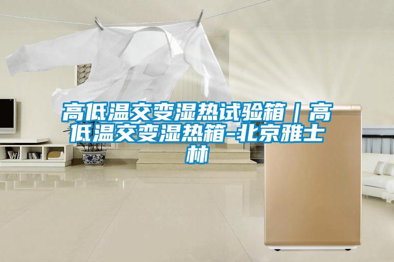 欧美黄色性爱视频网站 高低温交变湿热试验箱｜高低温交变湿热箱-北京雅士林