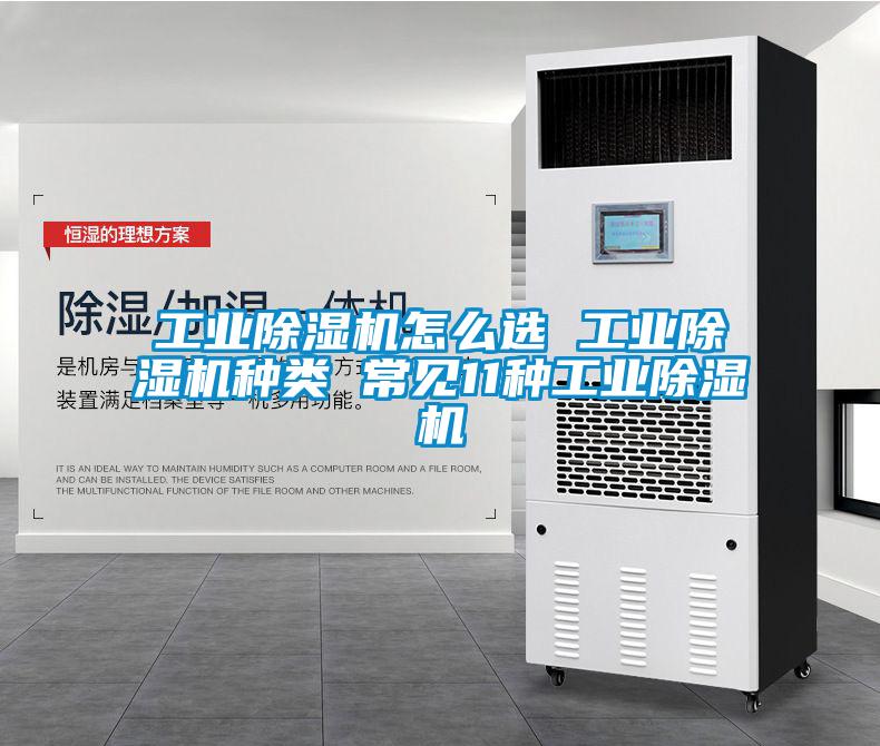 欧美黄色性爱视频网站 工业除湿机怎么选 工业除湿机种类 常见11种工业除湿机