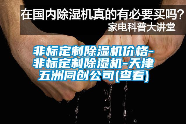 欧美成色手机在线观看 非标定制除湿机价格-非标定制除湿机-天津五洲同创公司(查看)