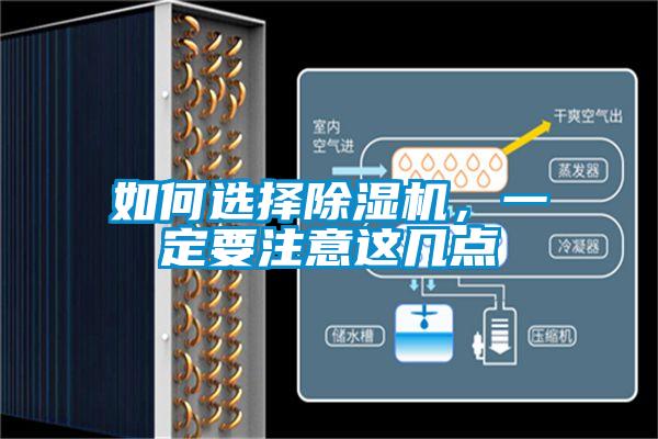 欧美黄色电影在线播放 如何选择除湿机，一定要注意这几点