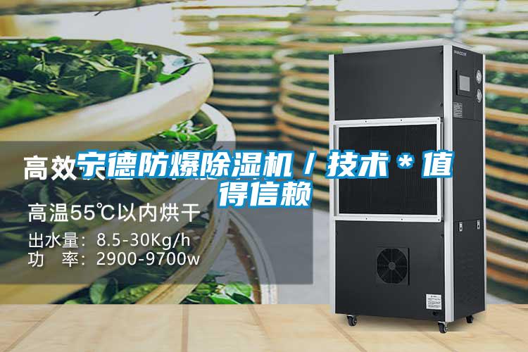 欧美黄色电影在线播放 宁德防爆除湿机／技术＊值得信赖
