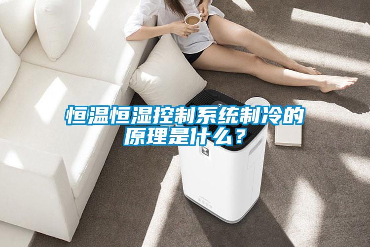 欧美黄色性爱视频网站 恒温恒湿控制系统制冷的原理是什么？
