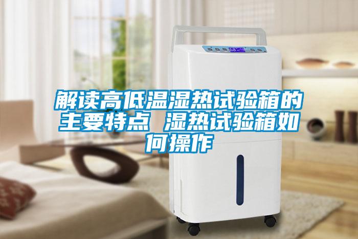 欧美黄色电影在线播放 解读高低温湿热试验箱的主要特点 湿热试验箱如何操作