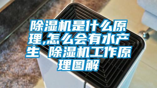 欧美黄色电影在线播放 除湿机是什么原理,怎么会有水产生 除湿机工作原理图解