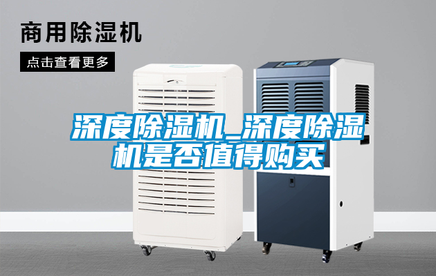 欧美黄色电影在线播放 深度除湿机_深度除湿机是否值得购买