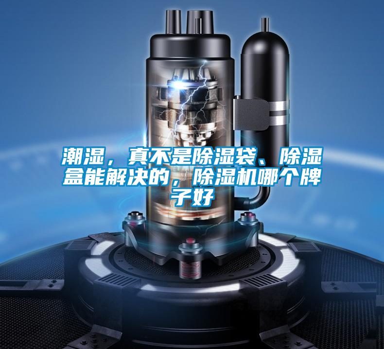 欧美黄色性爱视频网站 潮湿，真不是除湿袋、除湿盒能解决的，除湿机哪个牌子好