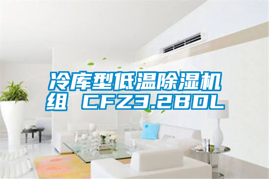 欧美黄色电影在线播放 冷库型低温除湿机组 CFZ3.2BDL
