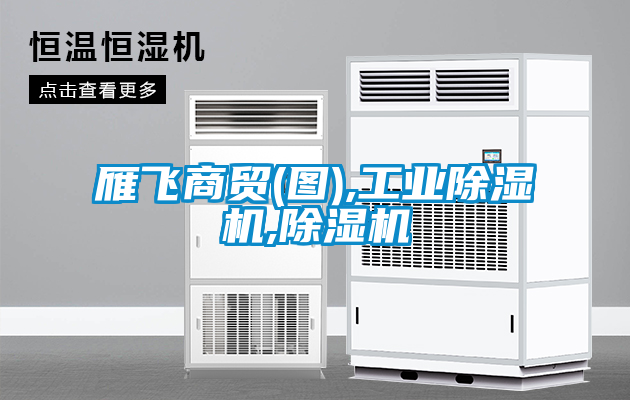 欧美黄色性爱视频网站 雁飞商贸(图),工业除湿机,除湿机