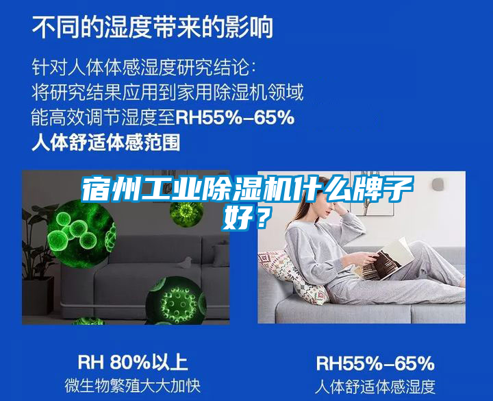 欧美黄色电影在线播放 宿州工业除湿机什么牌子好？