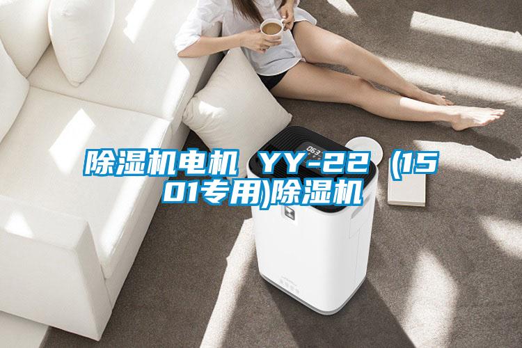 欧美黄色性爱视频网站 除湿机电机 YY-22 (1501专用)除湿机
