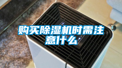 欧美黄色电影在线播放 购买除湿机时需注意什么