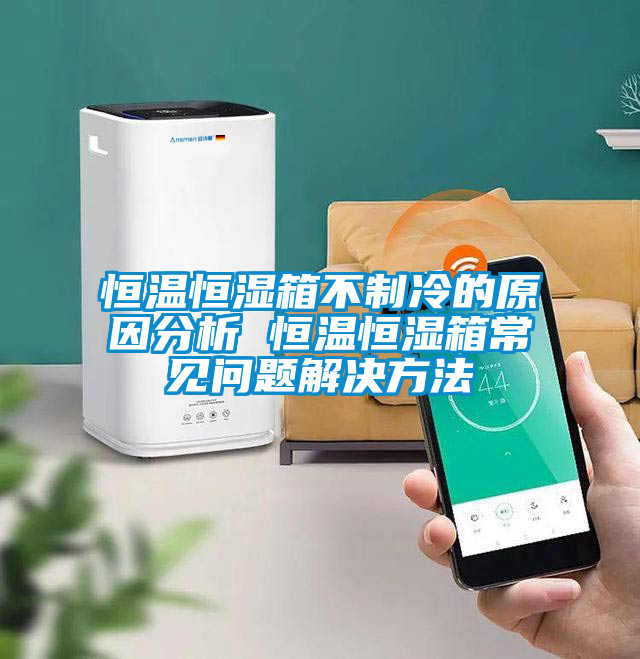 欧美黄色电影在线播放 恒温恒湿箱不制冷的原因分析 恒温恒湿箱常见问题解决方法