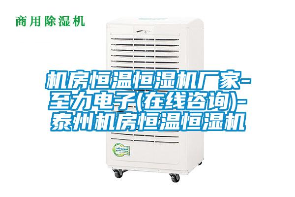欧美黄色性爱视频网站 机房恒温恒湿机厂家-至力电子(在线咨询)-泰州机房恒温恒湿机