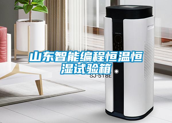 欧美黄色性爱视频网站 山东智能编程恒温恒湿试验箱