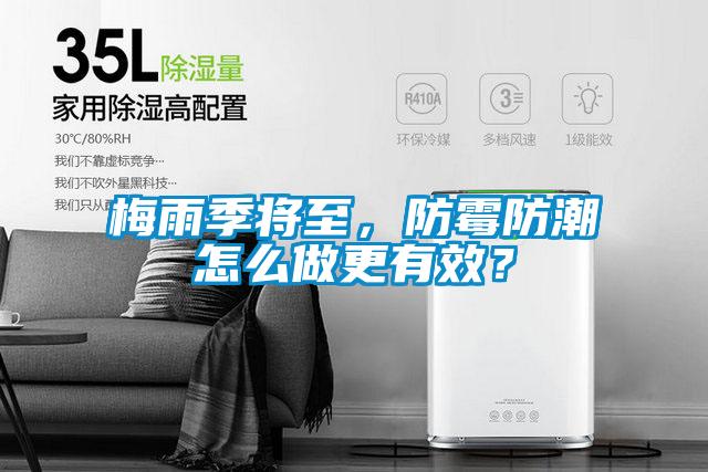 欧美黄色性爱视频网站 梅雨季将至，防霉防潮怎么做更有效？
