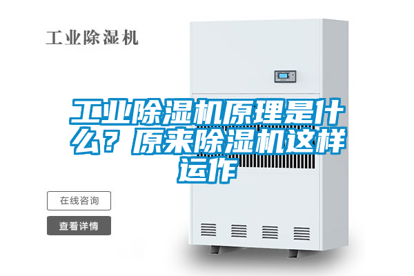 欧美成色手机在线观看 工业除湿机原理是什么？原来除湿机这样运作
