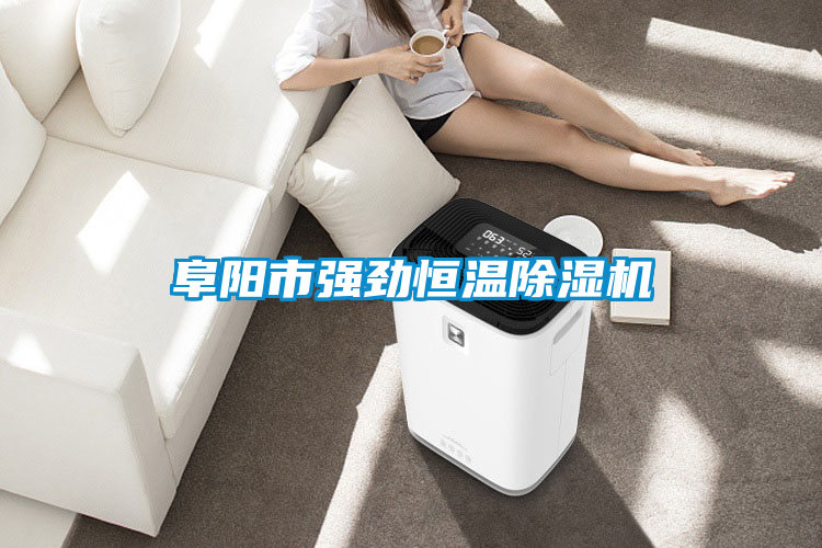 欧美黄色电影在线播放 阜阳市强劲恒温除湿机